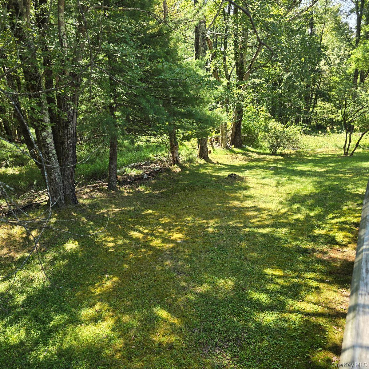 #10 photo, 14 Ann Lane, Mountain Dale , NY 12763