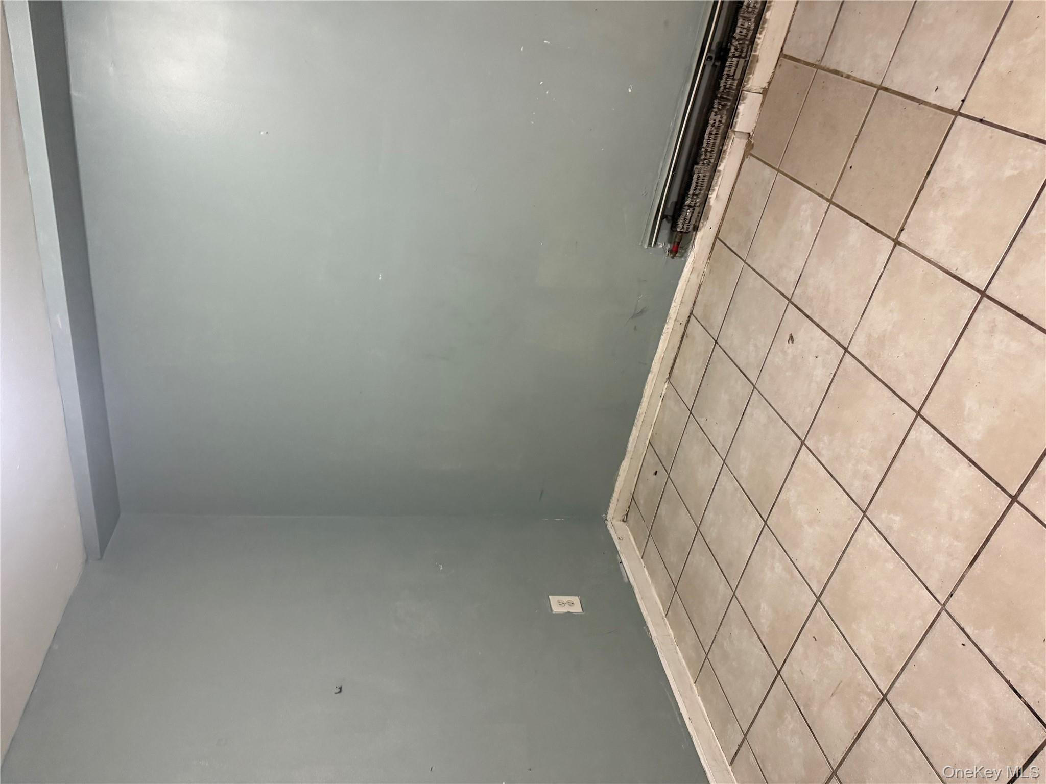 #13 photo, 169 Euclid Avenue, 브루클린 Brooklyn , NY 11208