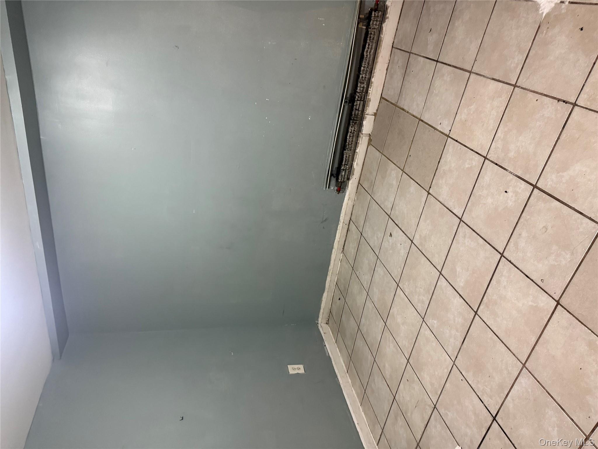 #14 photo, 169 Euclid Avenue, 브루클린 Brooklyn , NY 11208