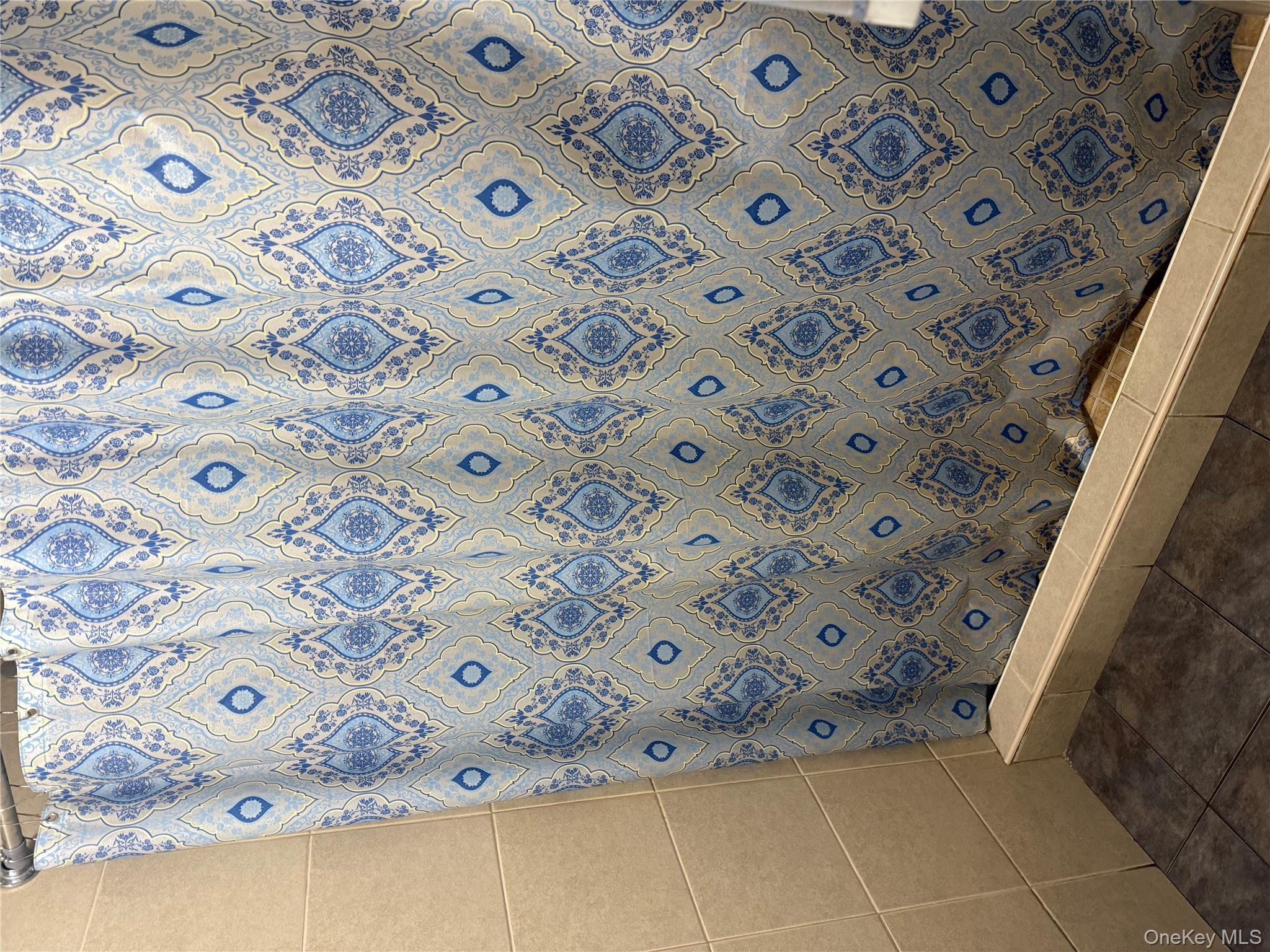 #15 photo, 169 Euclid Avenue, 브루클린 Brooklyn , NY 11208