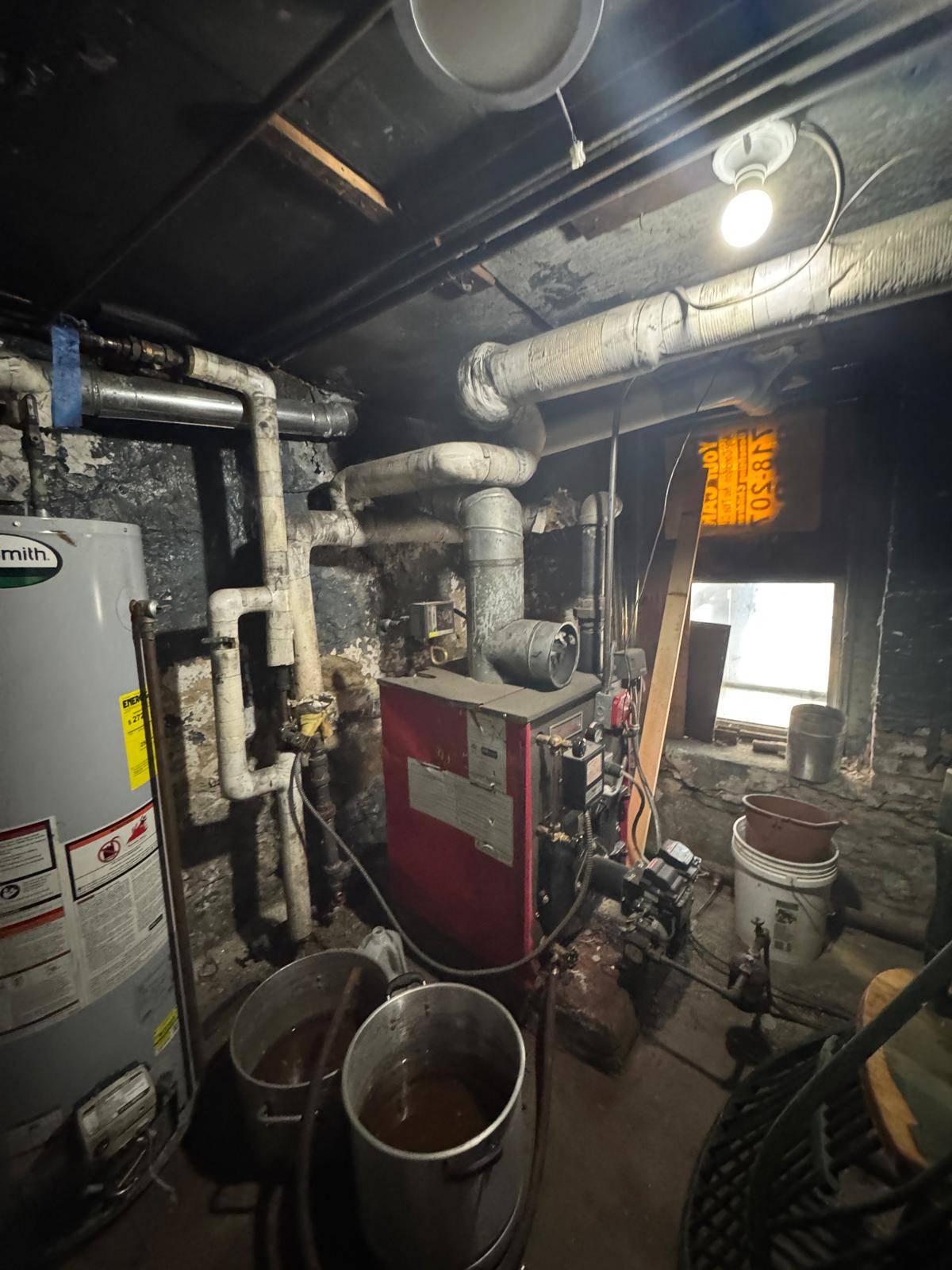 #5 photo, 590 Morris Park Avenue, Van Nest , NY 10460