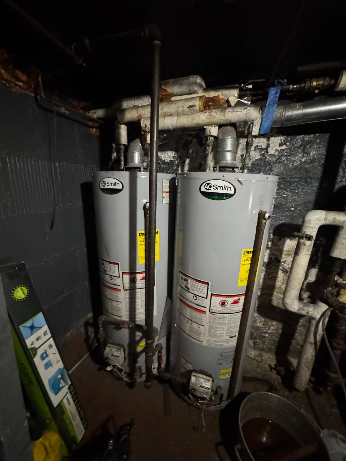 #6 photo, 590 Morris Park Avenue, Van Nest , NY 10460