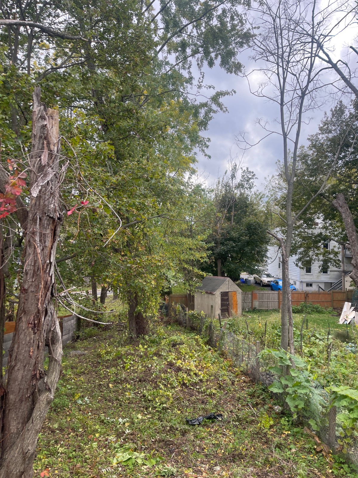 #7 photo, 108 second avenue, Albany , NY 12202