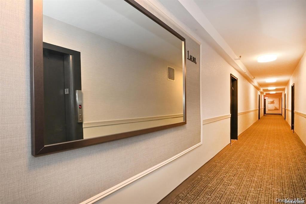 #14 photo, 15 Hill Park Avenue, नासाउ काउंटी Great Neck , NY 11021