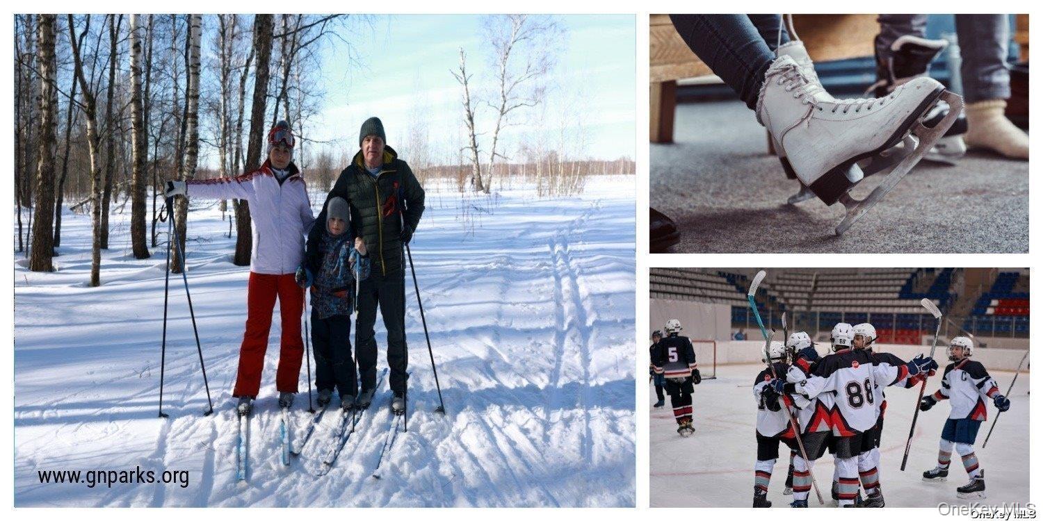 #19 photo, 15 Hill Park Avenue, नासाउ काउंटी Great Neck , NY 11021