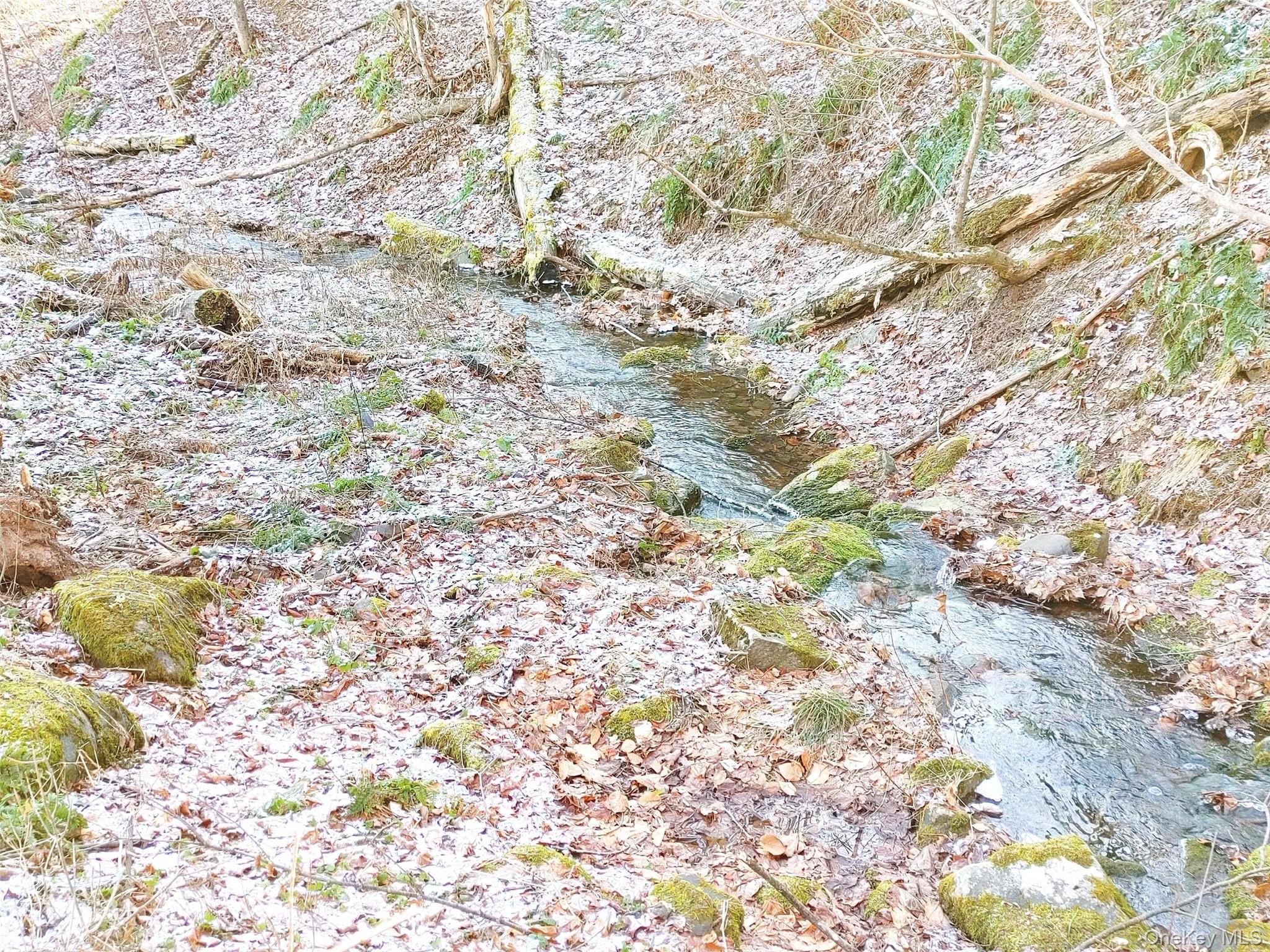 #16 photo, 3642 Route 42, Other , NY 12452