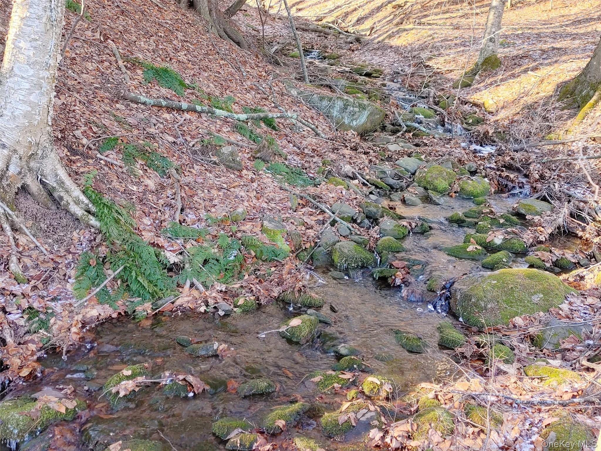 #17 photo, 3642 Route 42, Other , NY 12452