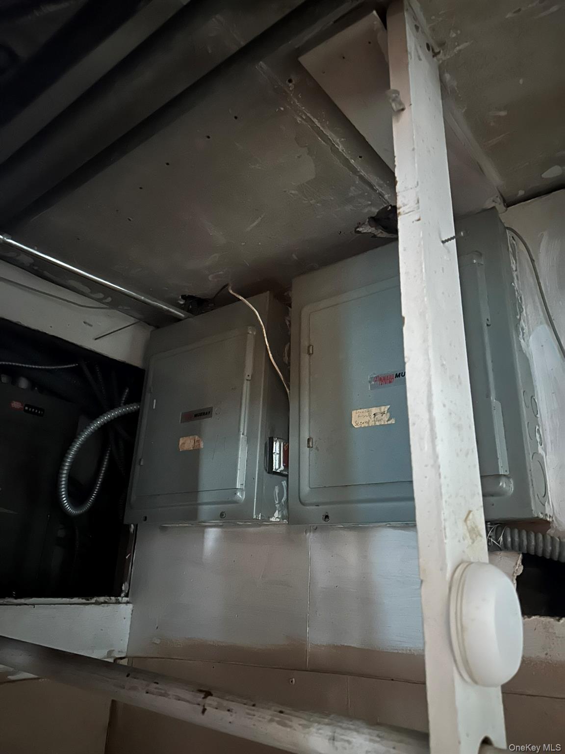 #14 photo, 85-20 85th Road, קווינס Woodhaven , NY 11421