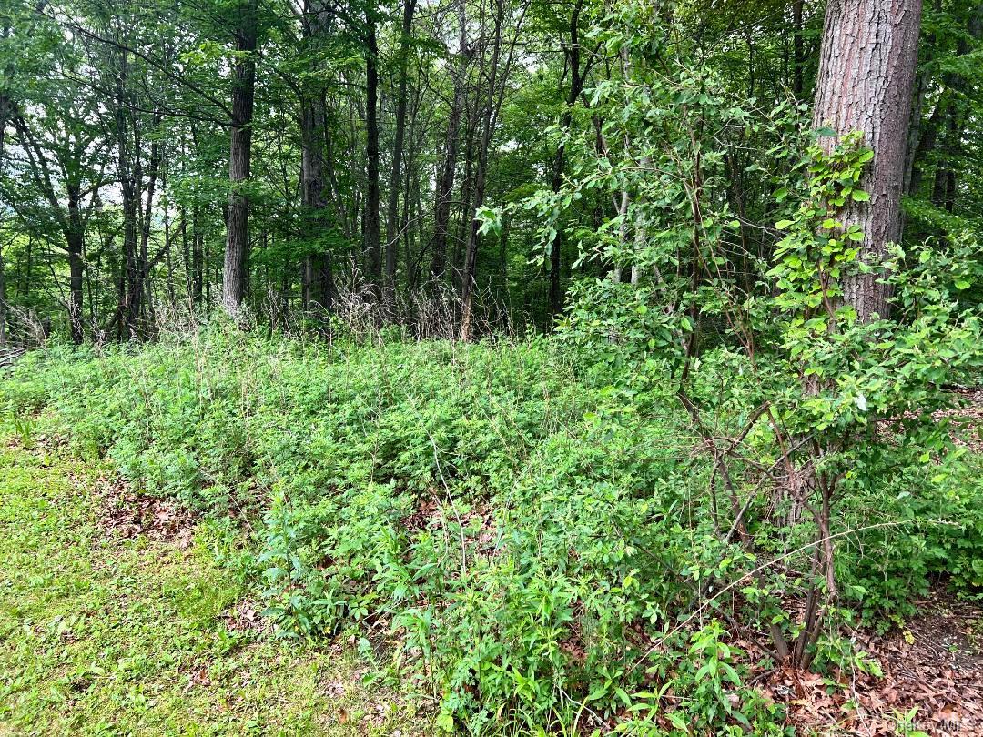 #3 photo, 36 Sylvia Barlow Way, Brewster , NY 10509