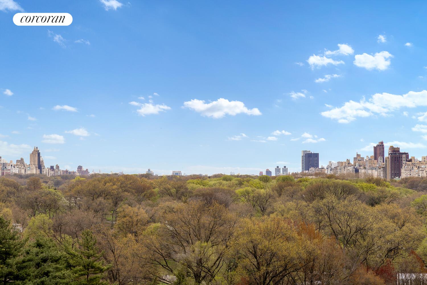 #13 photo, 106 CENTRAL Park S, Central Park South , NY 10019