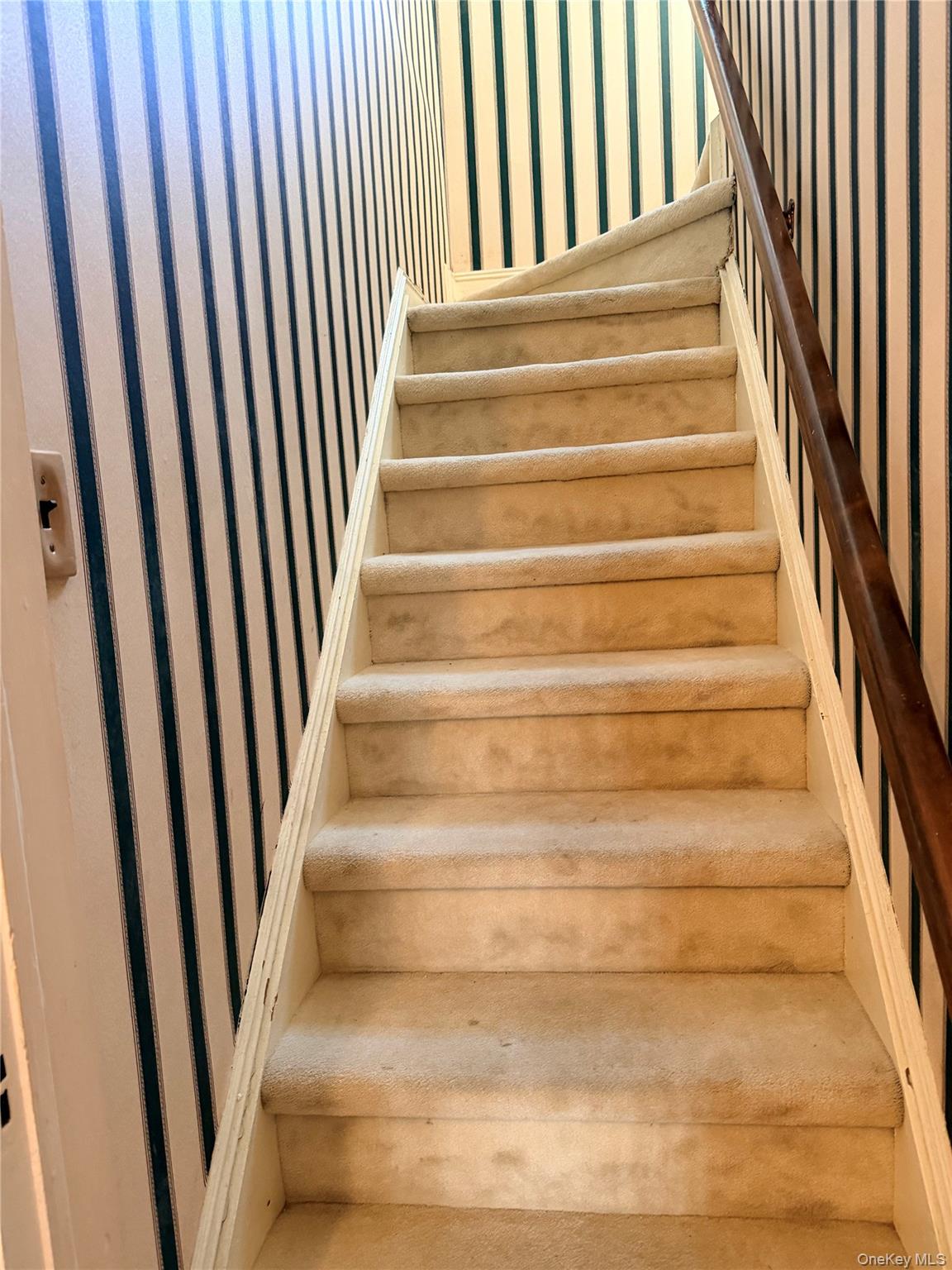 #10 photo, 142 Kamda Boulevard, 롱 아일랜드 New Hyde Park , NY 11040