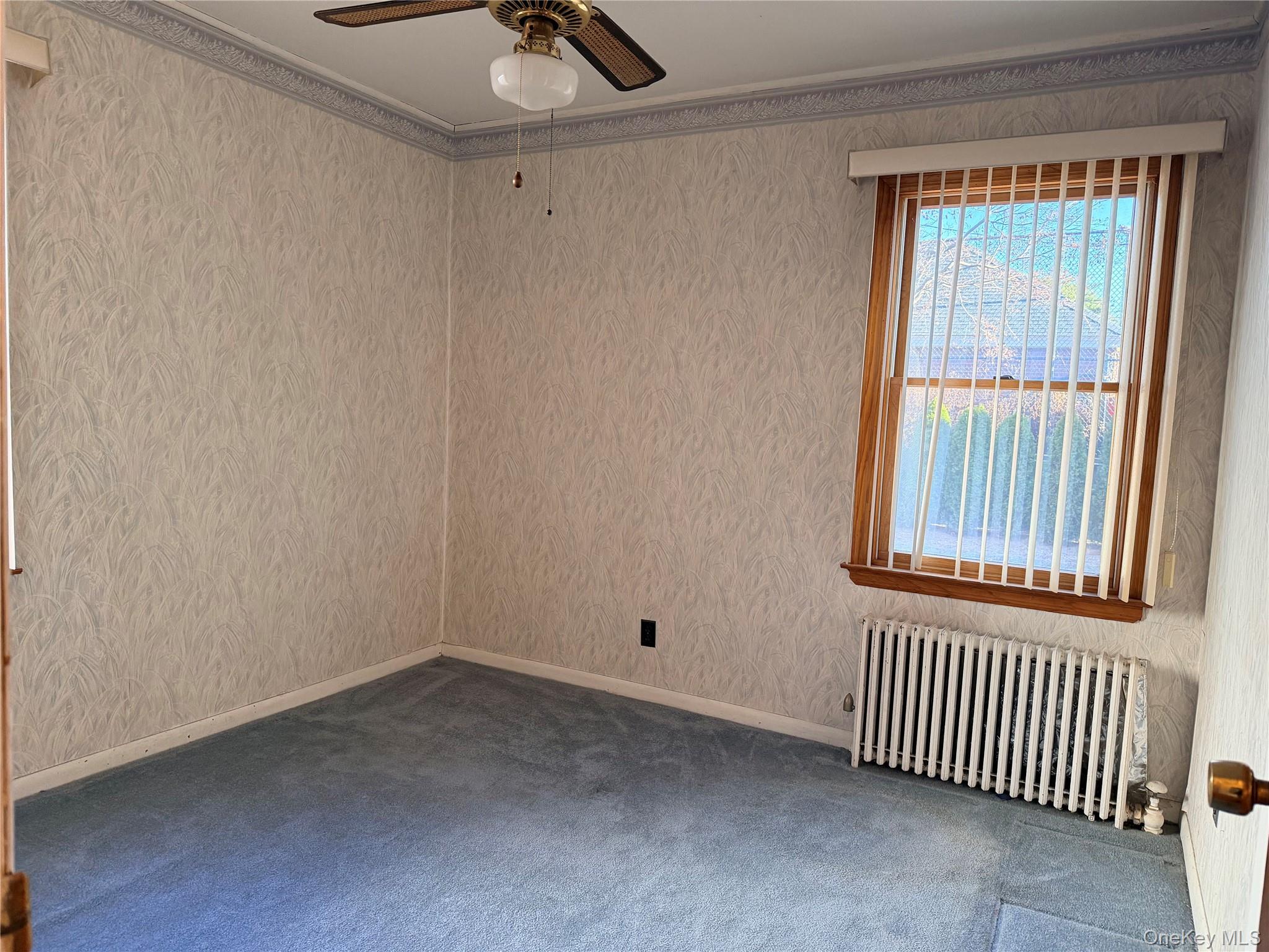 #8 photo, 142 Kamda Boulevard, 롱 아일랜드 New Hyde Park , NY 11040