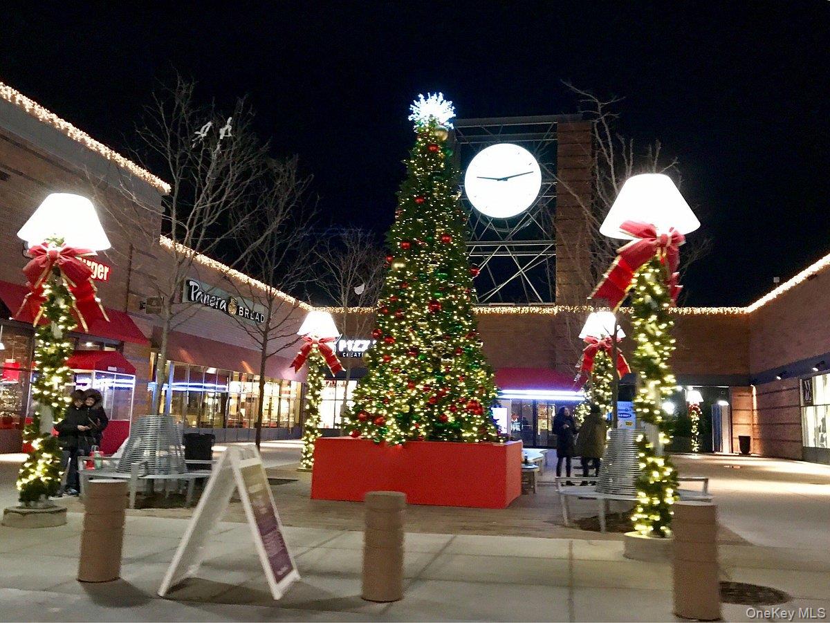 #18 photo, 1020 Elton Street, 布鲁克林 Brooklyn , NY 11208