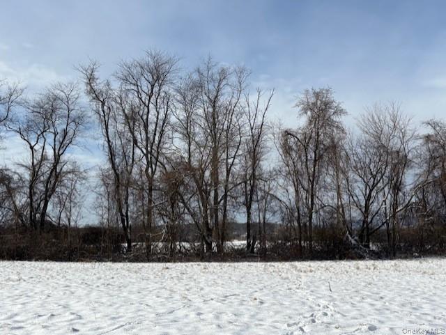 #2 photo, maizeland road, LOT 1B, Red Hook , NY 12571