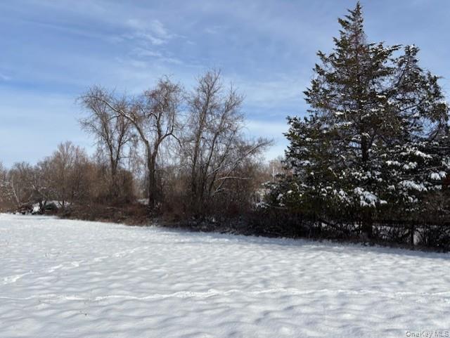 #3 photo, maizeland road, lot 1A, Red Hook , NY 12571