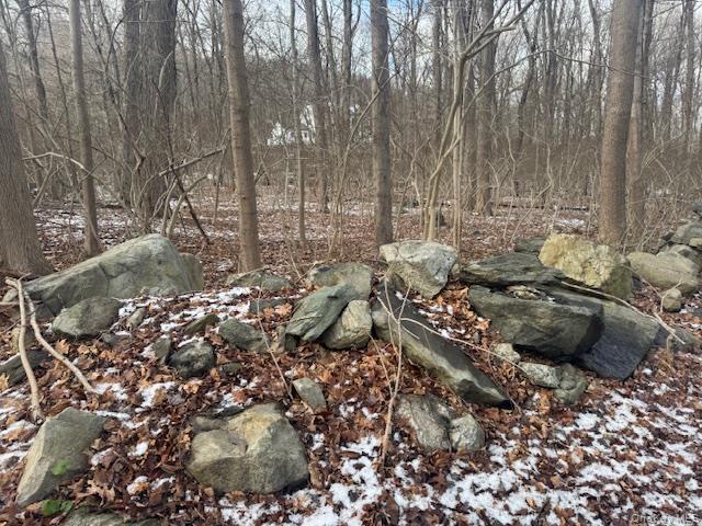 #3 photo, Eder Road, 뉴욕주 Stormville , NY 12582