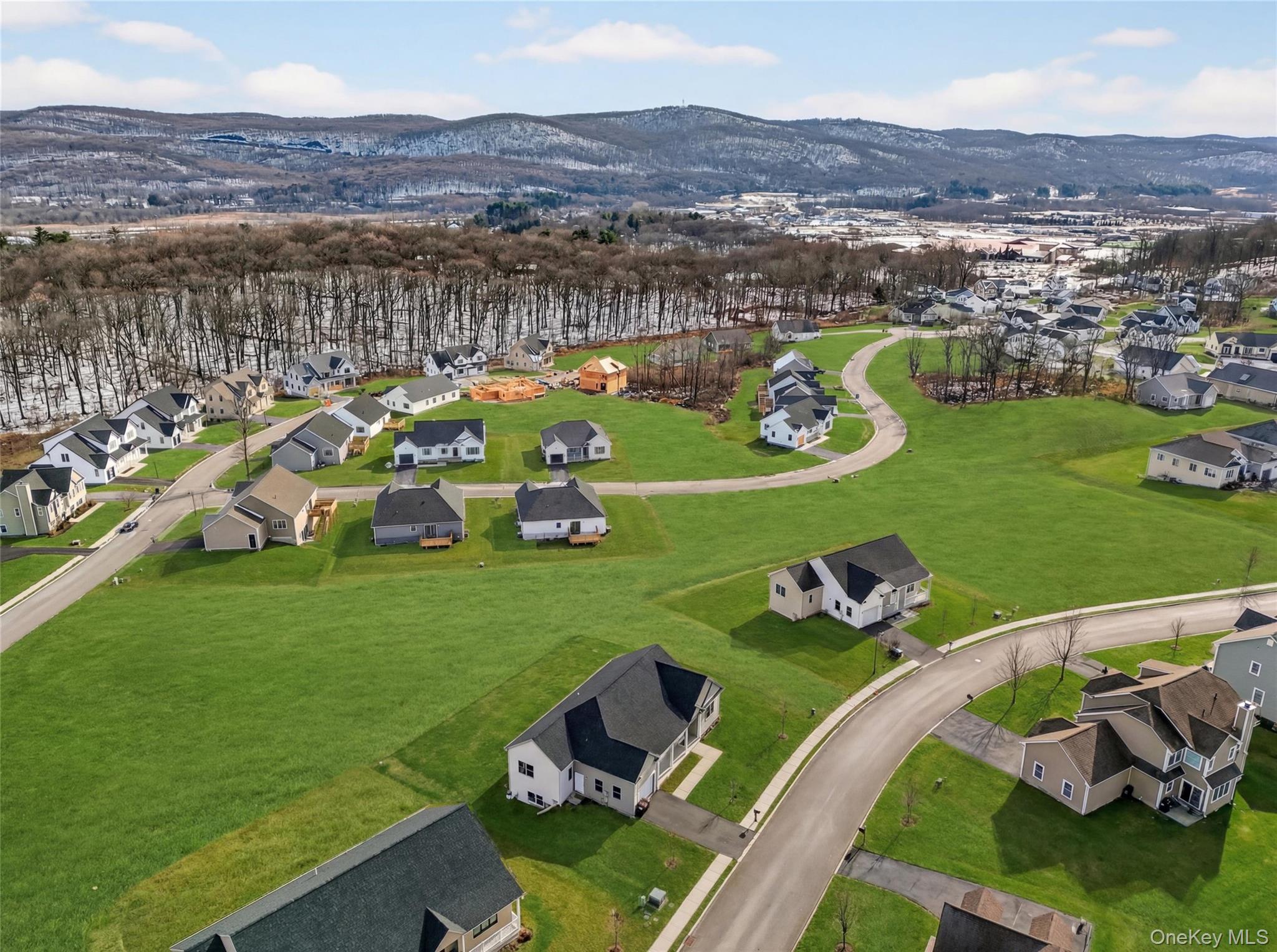 #2 photo, 22 Lionel Passage, Monroe , NY 10950