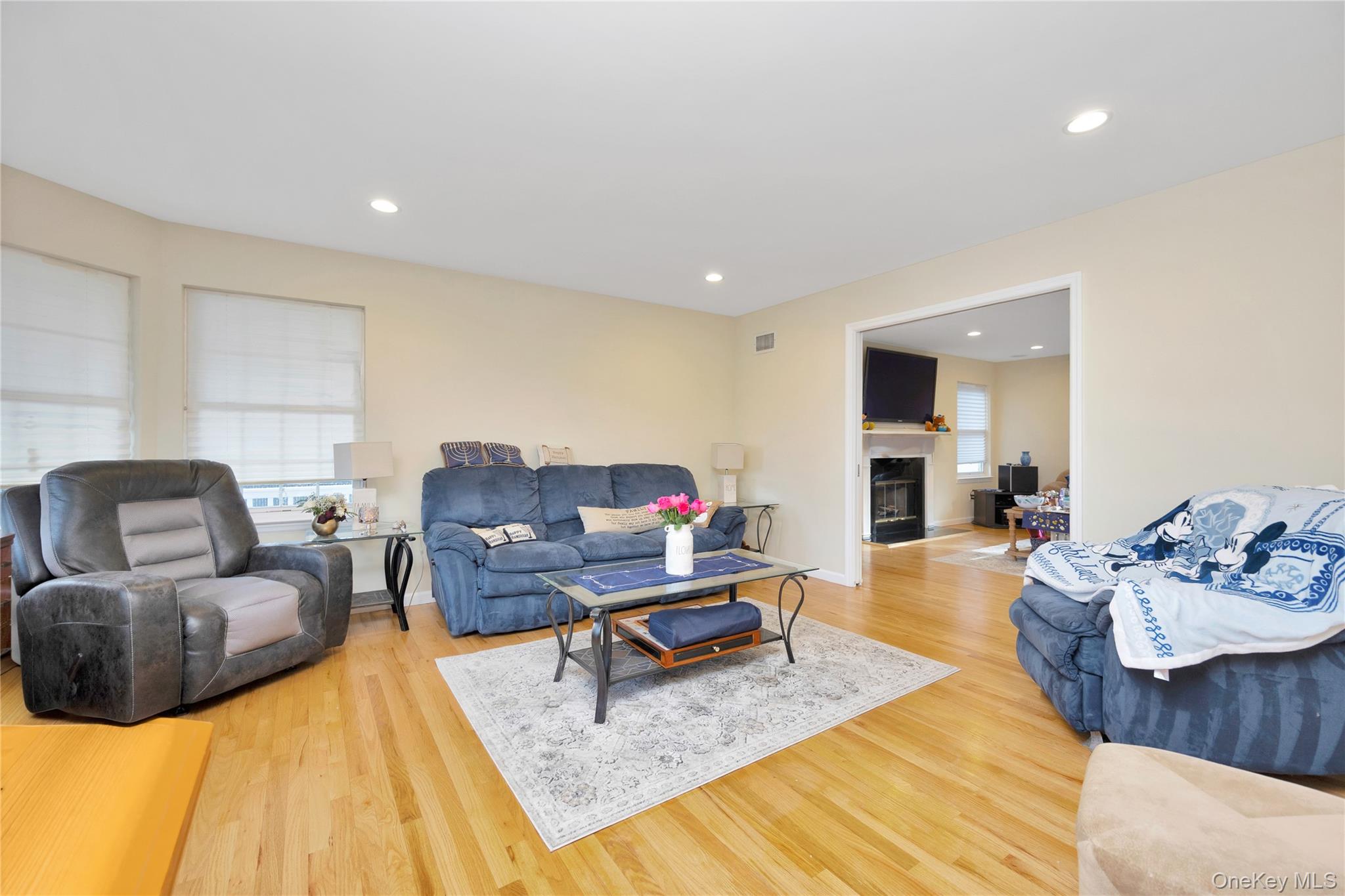 #11 photo, 107 James Street, North Massapequa , NY 11758