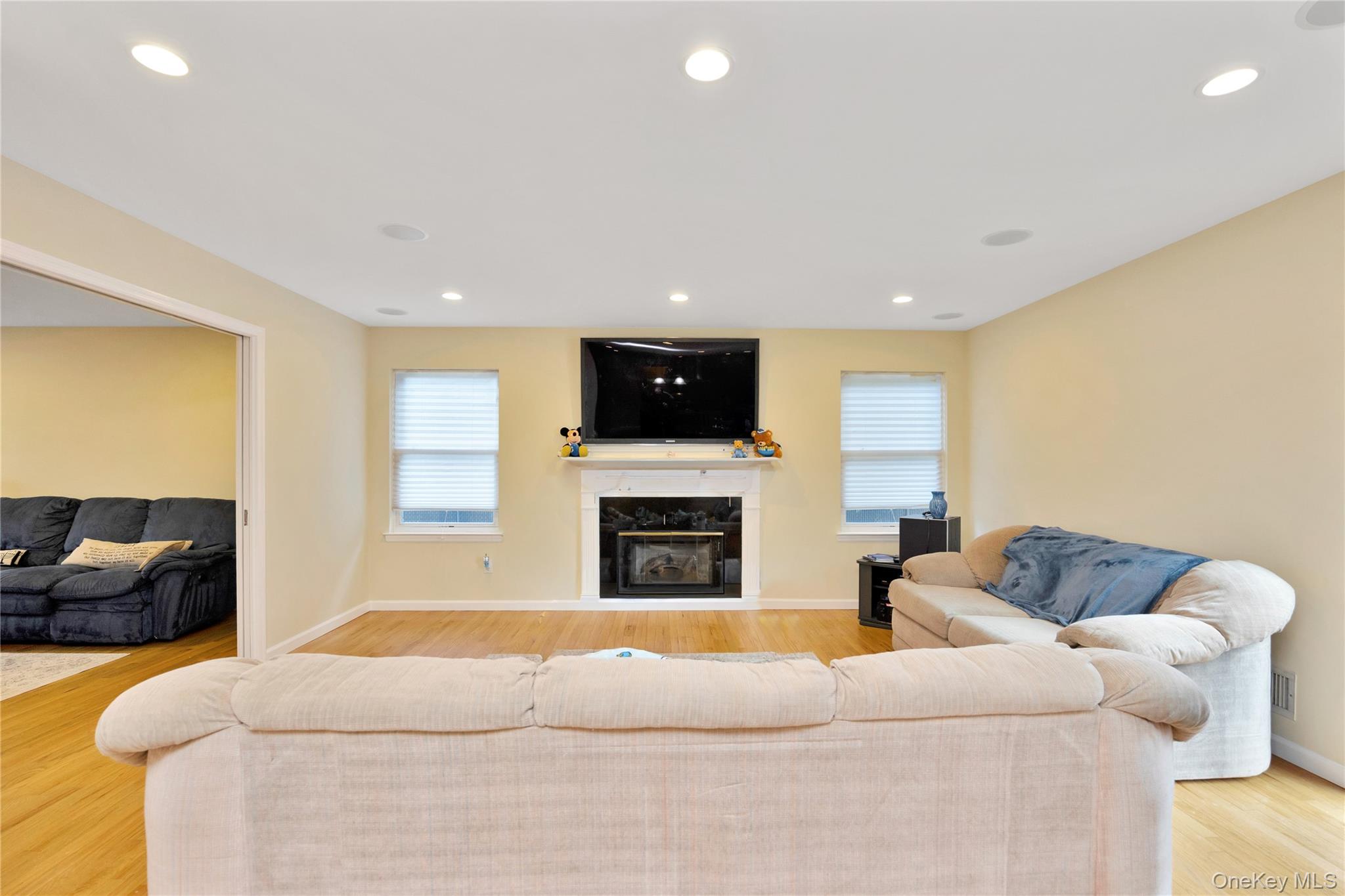 #18 photo, 107 James Street, North Massapequa , NY 11758
