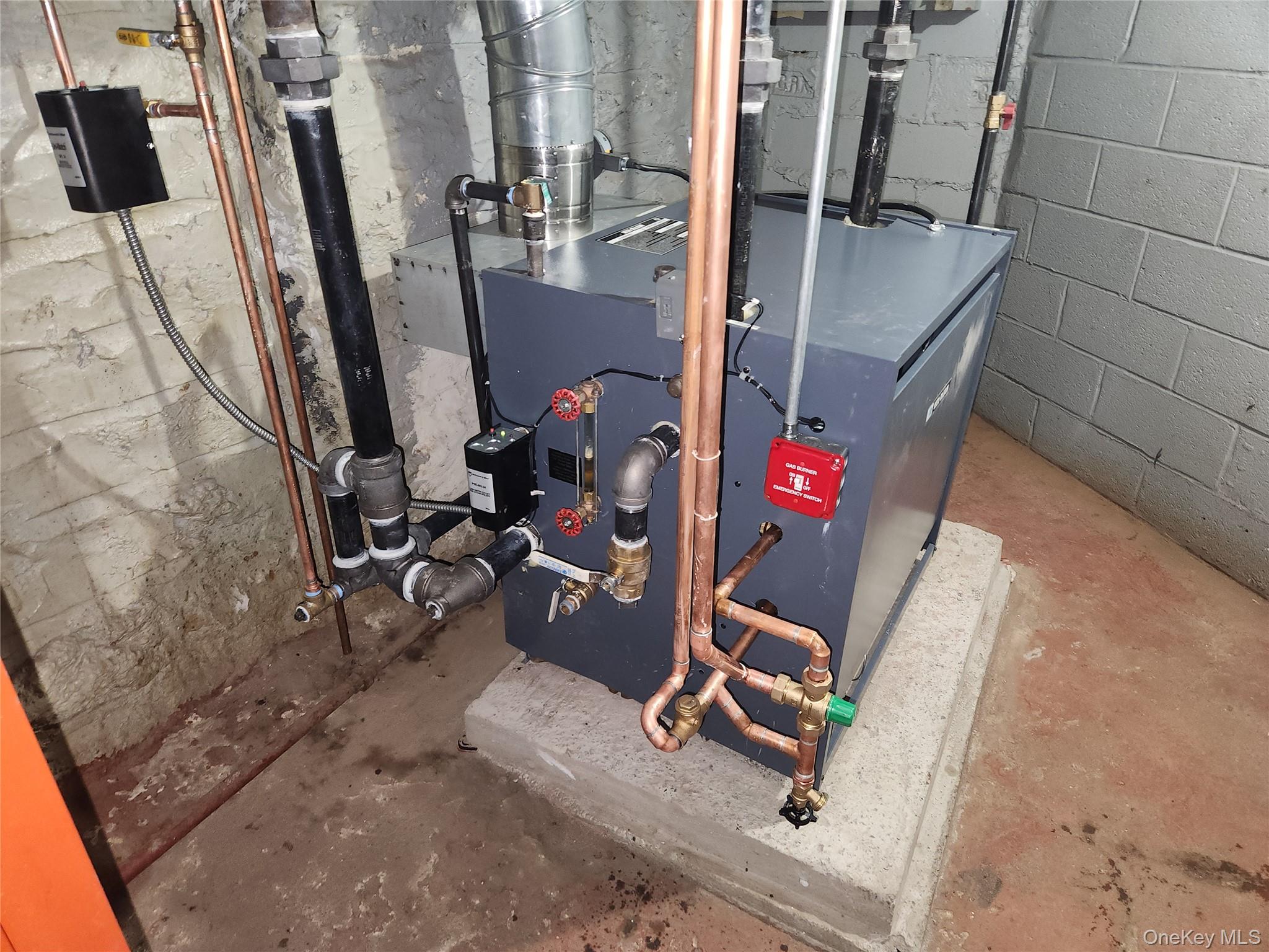 #13 photo, 1102 Winthrop Street, Brooklyn , NY 11212