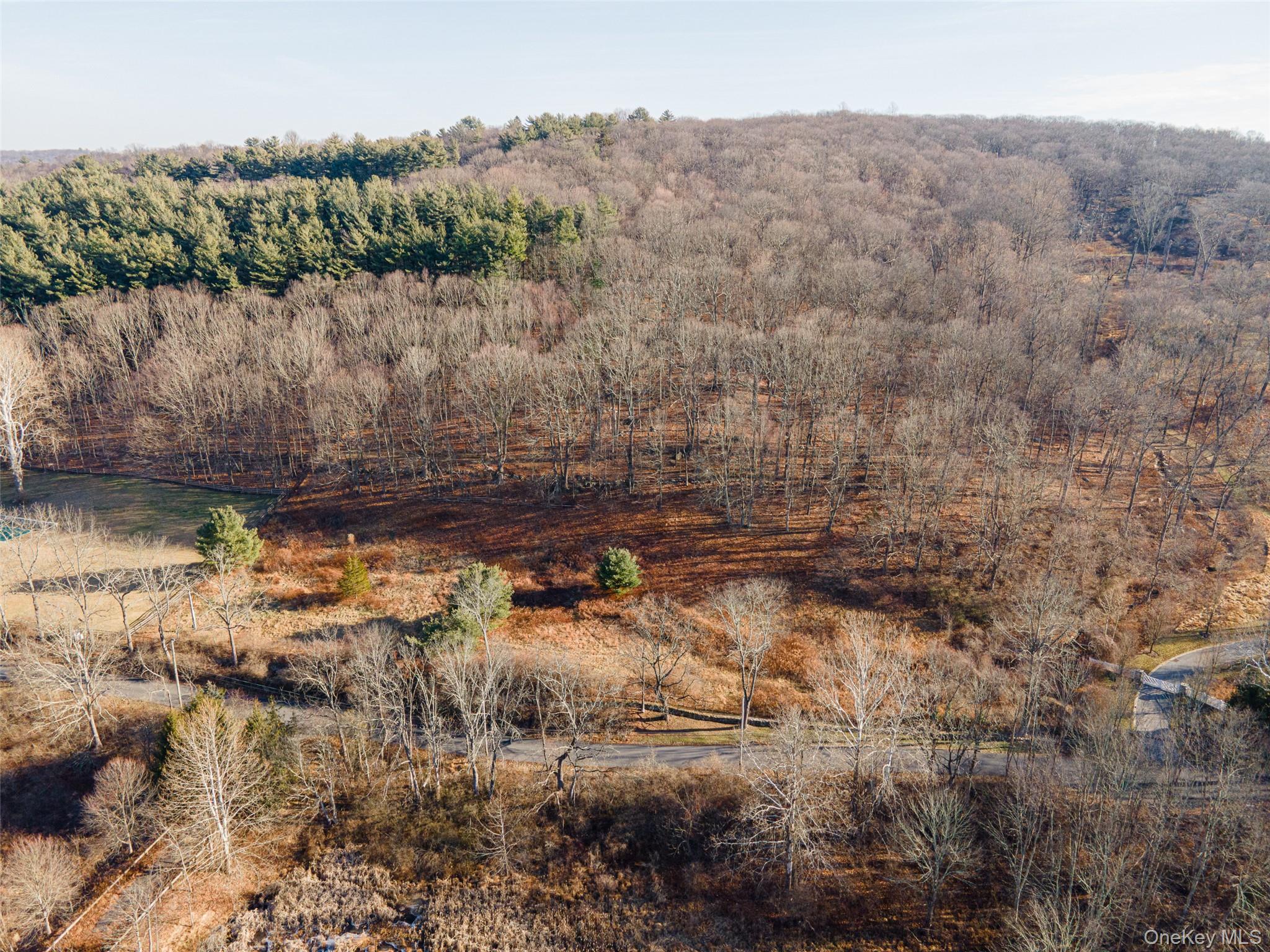 #13 photo, 10 Sarles Street, Bedford Corners , NY 10549