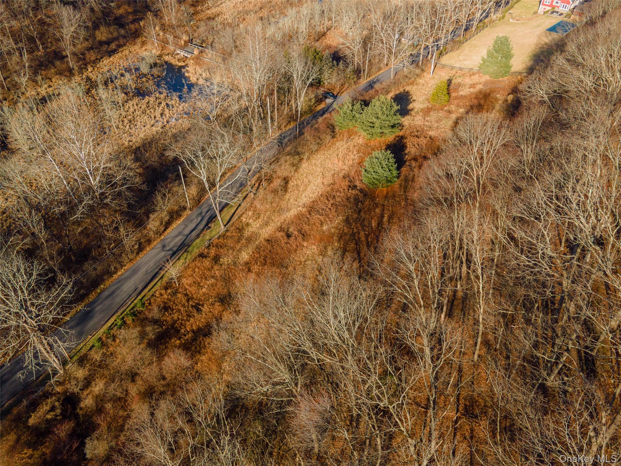 #8 photo, 10 Sarles Street, Bedford Corners , NY 10549