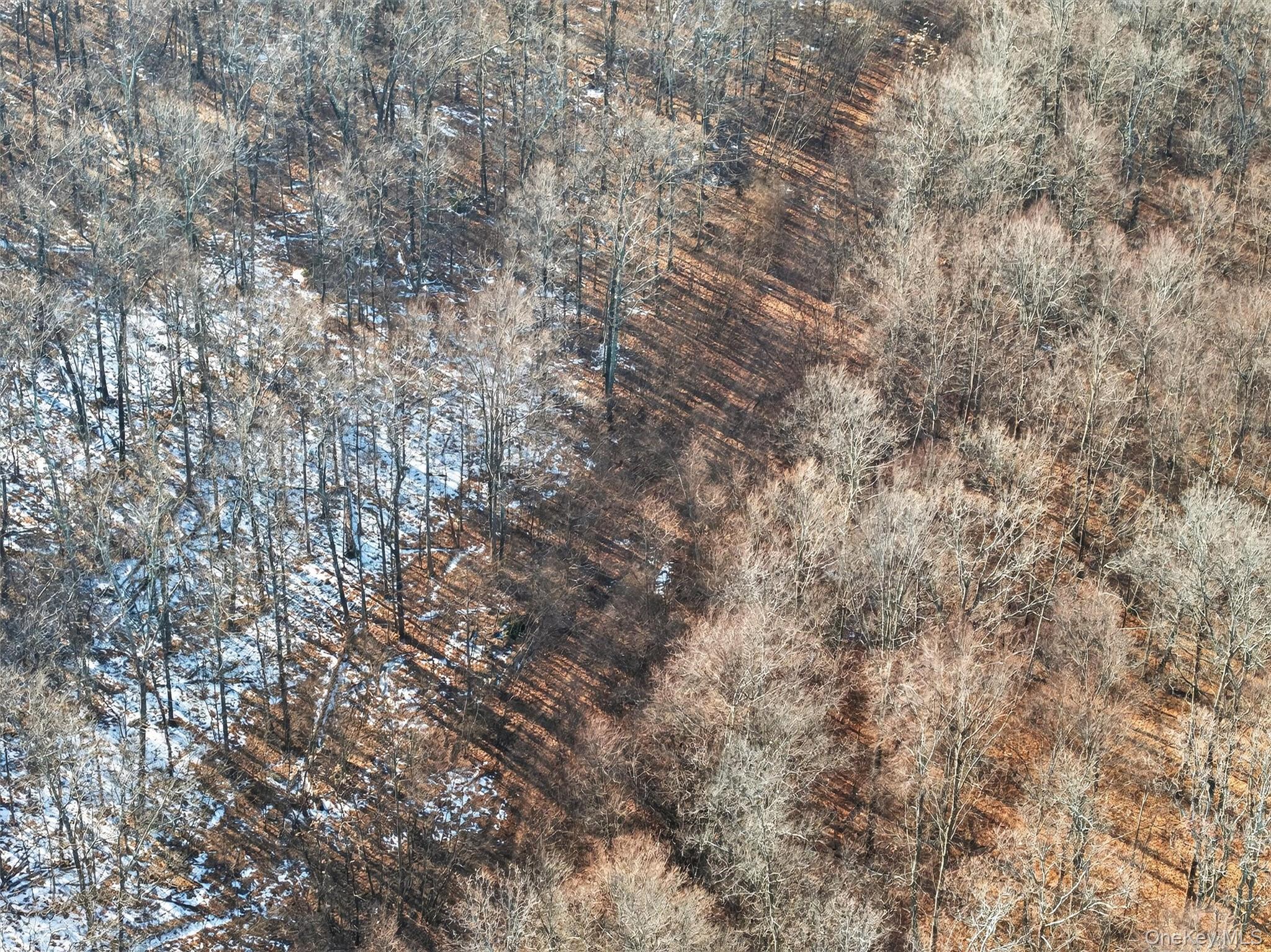 #11 photo, TBD Eatontown Road, Greenville , NY 10940