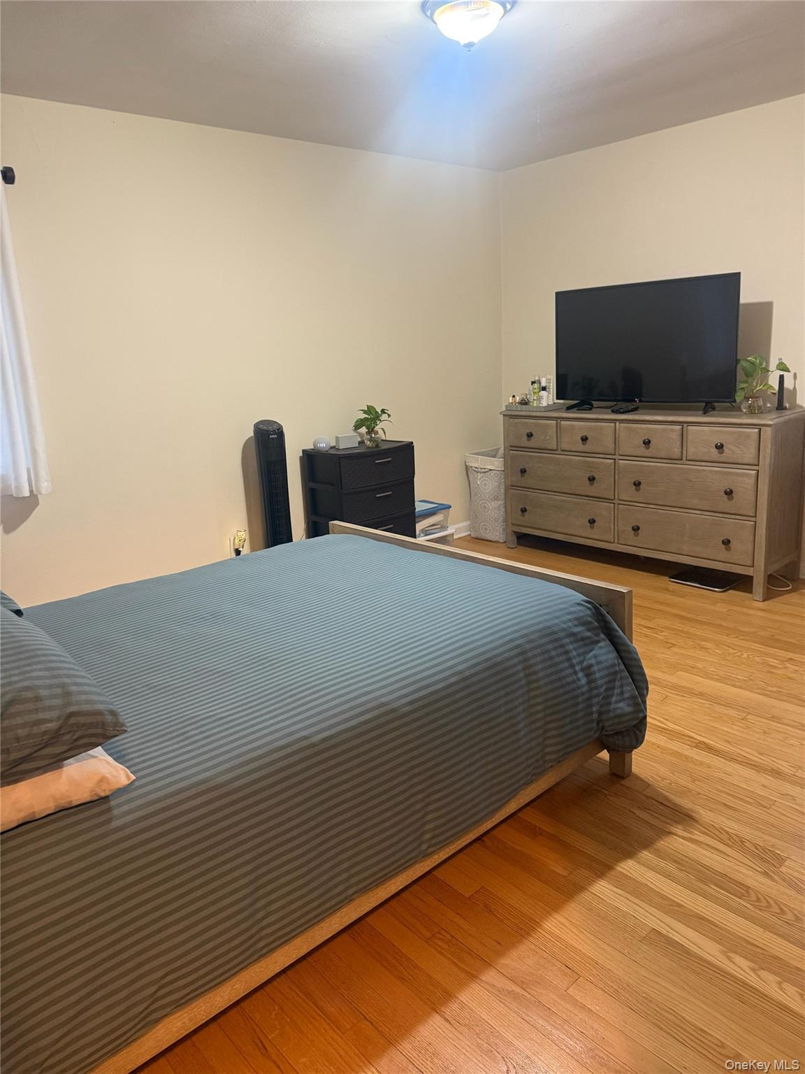 #11 photo, New Hyde Park, New Hyde Park , NY 11040