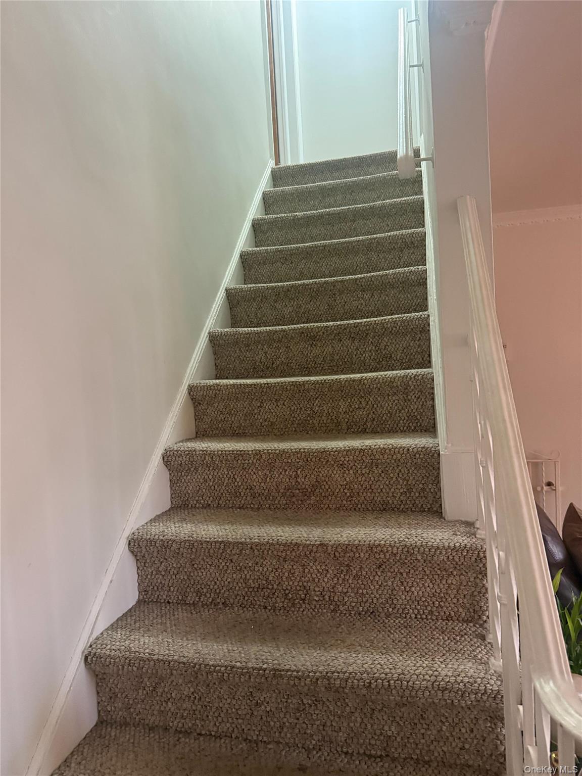 #8 photo, New Hyde Park, New Hyde Park , NY 11040