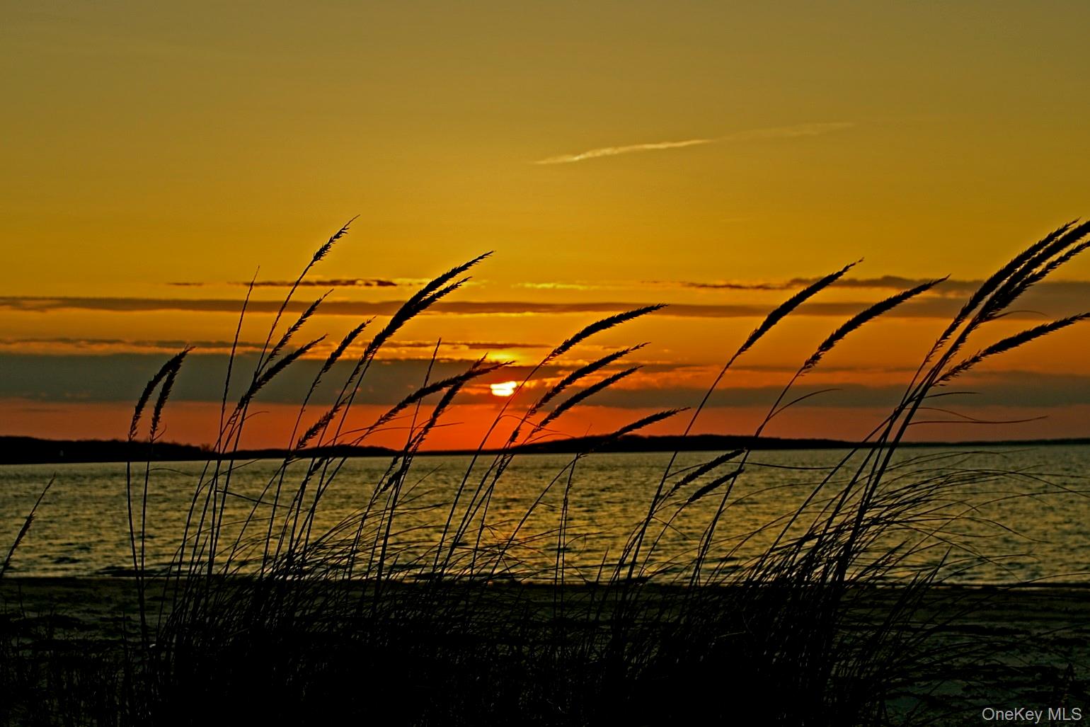 #20 photo, 2 Seaman, Glen Cove , NY 11542