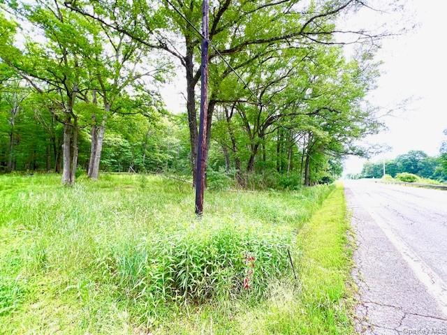 #1 photo, 7584 N Route 97, Narrowsburg , NY 12764