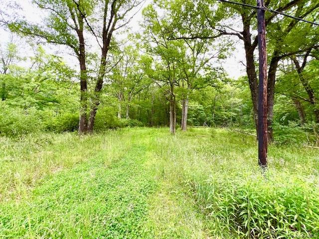 #10 photo, 7584 N Route 97, Narrowsburg , NY 12764