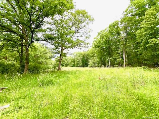 #11 photo, 7584 N Route 97, Narrowsburg , NY 12764