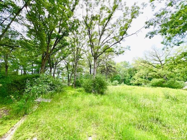 #3 photo, 7584 N Route 97, Narrowsburg , NY 12764