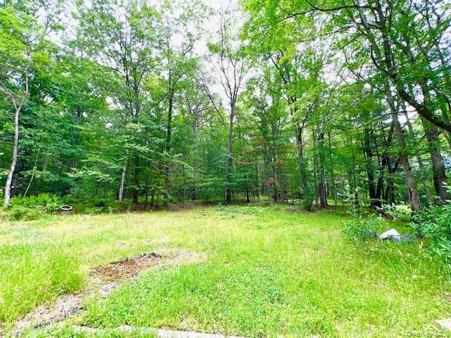 #5 photo, 7584 N Route 97, Narrowsburg , NY 12764