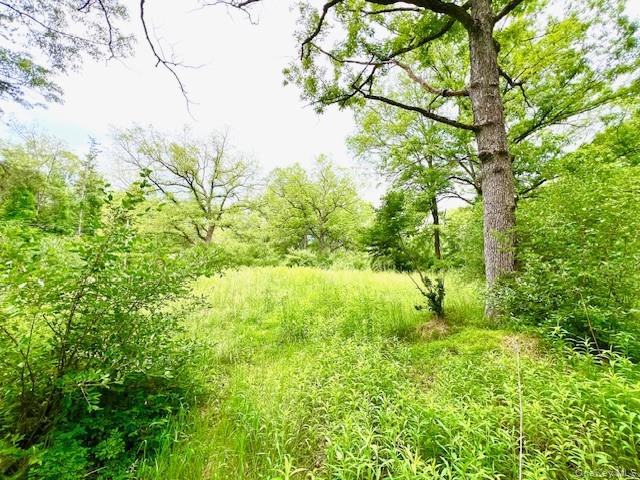 #6 photo, 7584 N Route 97, Narrowsburg , NY 12764