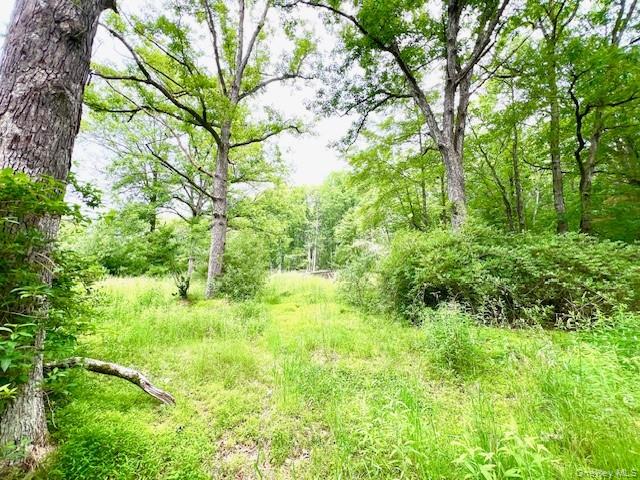 #7 photo, 7584 N Route 97, Narrowsburg , NY 12764