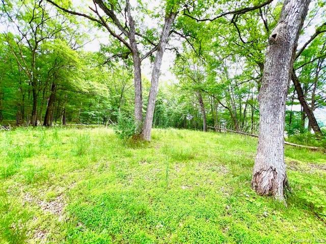 #8 photo, 7584 N Route 97, Narrowsburg , NY 12764