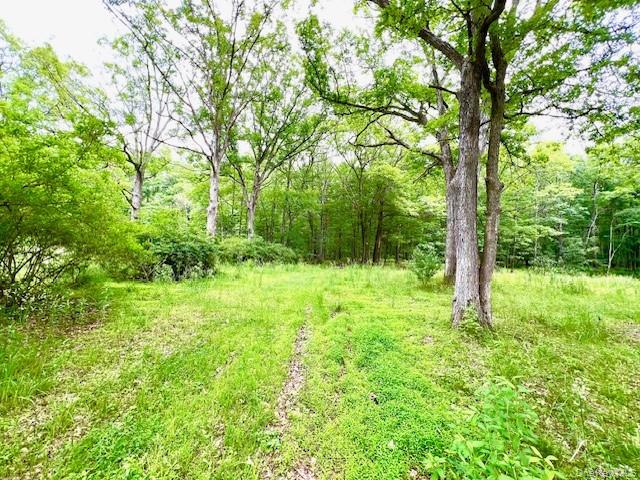 #9 photo, 7584 N Route 97, Narrowsburg , NY 12764