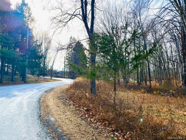 #1 photo, 56 Route 209, Port Jervis , NY 12771