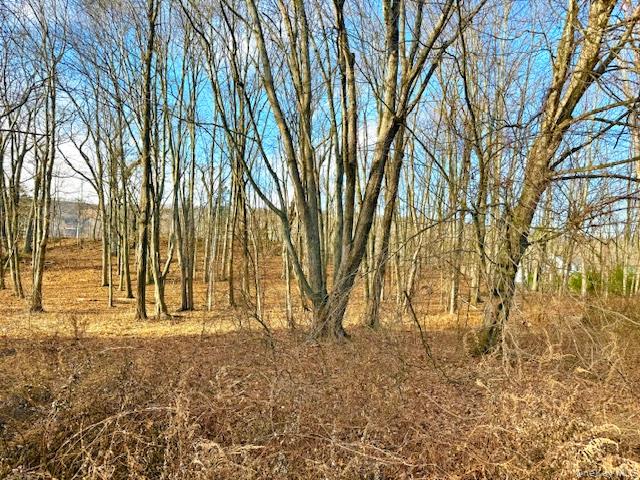 #2 photo, 56 Route 209, Port Jervis , NY 12771