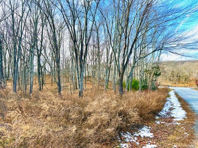 #3 photo, 56 Route 209, Port Jervis , NY 12771