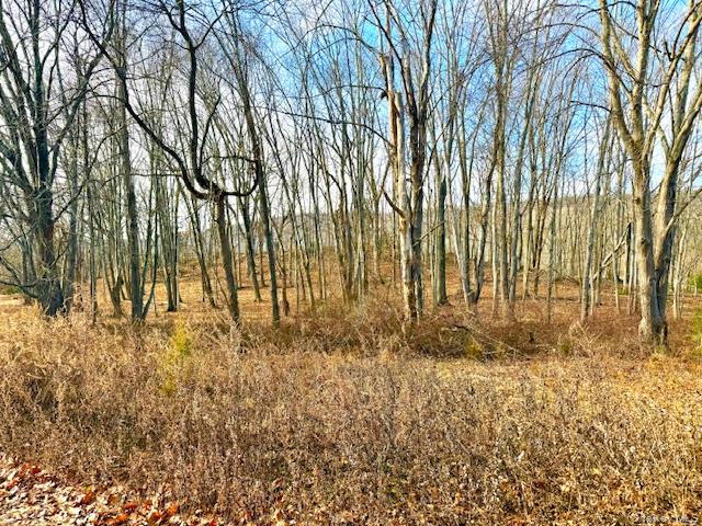 #5 photo, 56 Route 209, Port Jervis , NY 12771