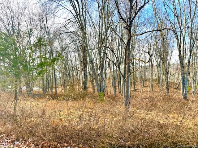 #6 photo, 56 Route 209, Port Jervis , NY 12771