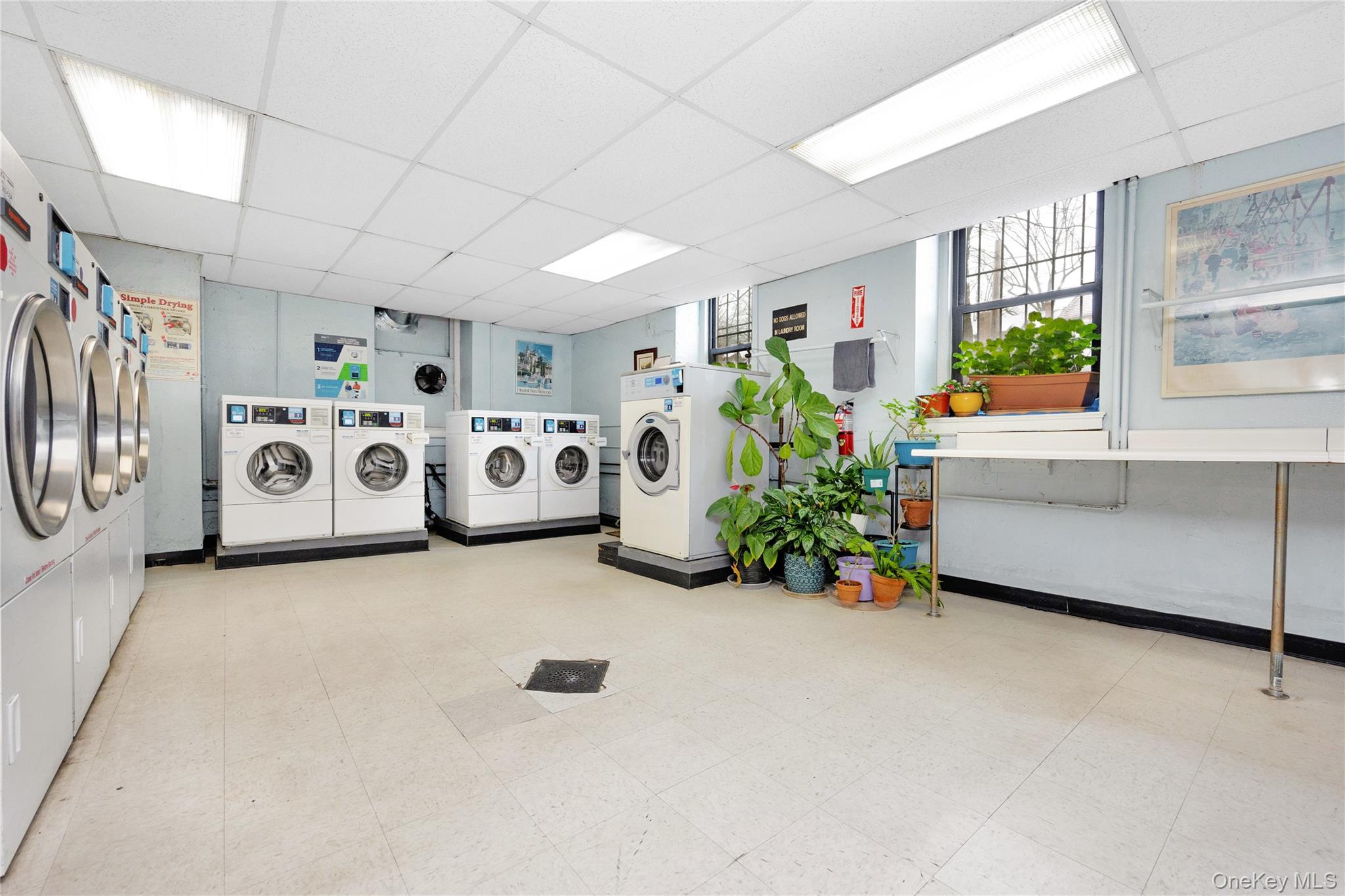 #11 photo, 7716 Austin Street, Куинс ‖ Forest Hills , NY 11375