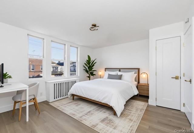 #17 photo, 1833 Hone Avenue, Bronx , NY 10461