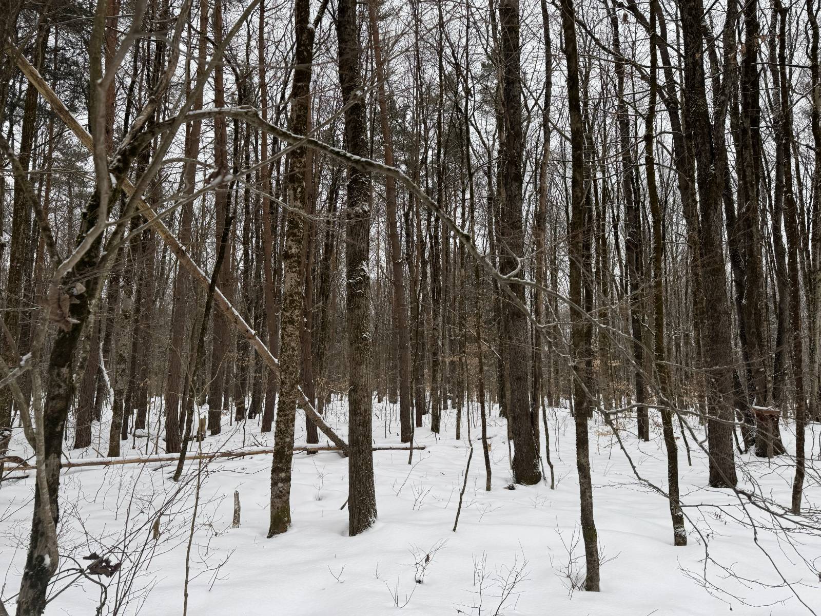 #33 photo, 11 Beaverdam Brook Dr, Altmar , NY 13302