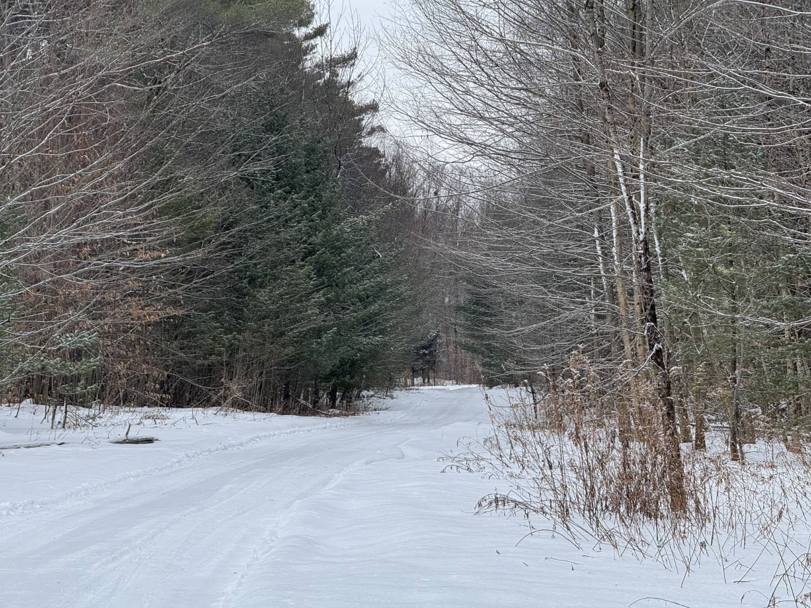 #35 photo, 11 Beaverdam Brook Dr, Altmar , NY 13302