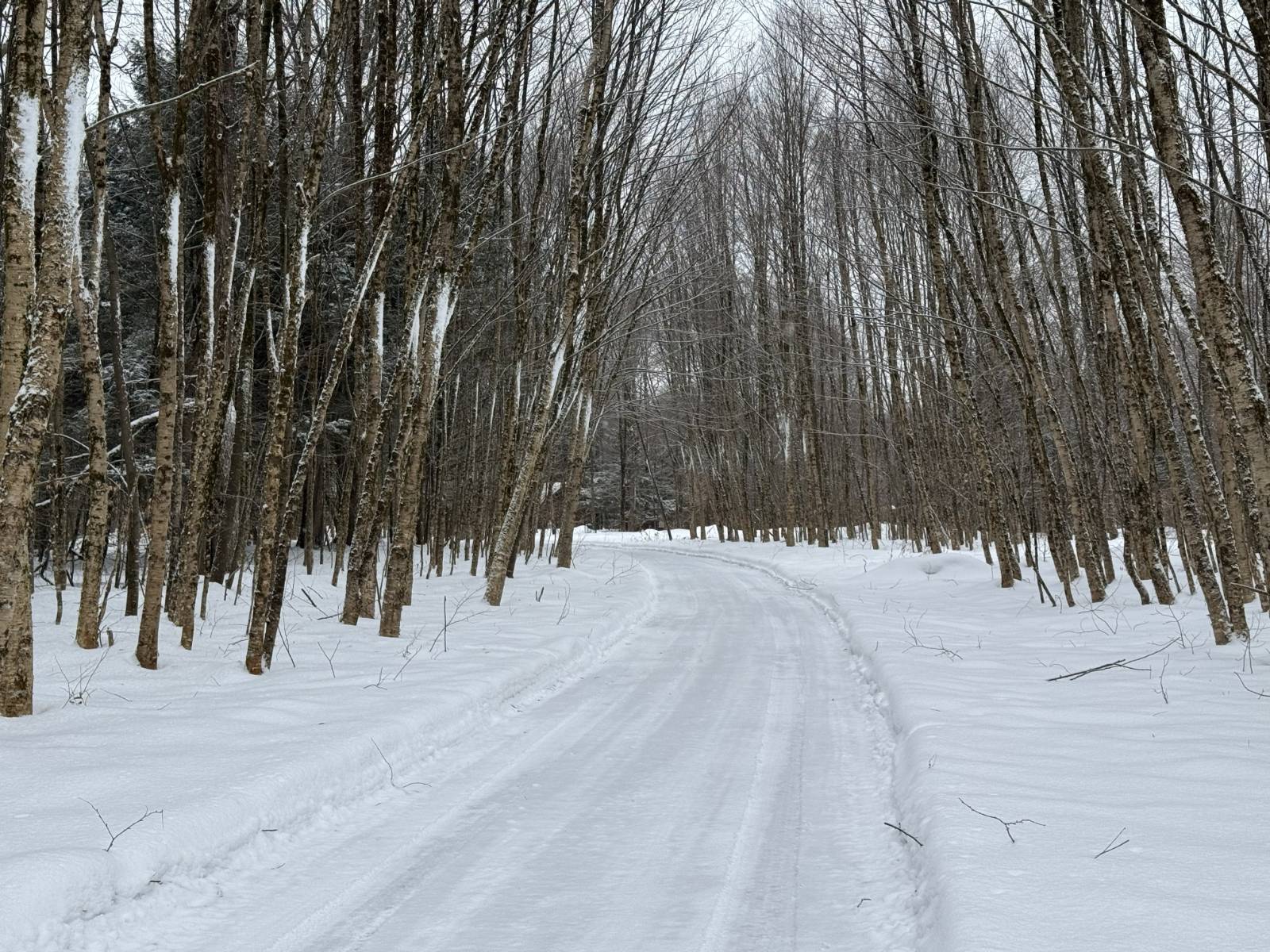 #36 photo, 11 Beaverdam Brook Dr, Altmar , NY 13302