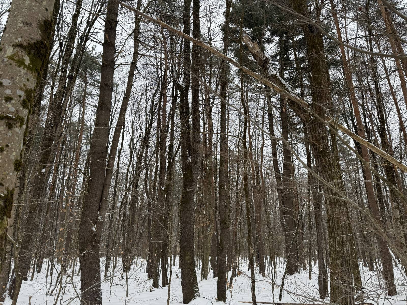 #37 photo, 11 Beaverdam Brook Dr, Altmar , NY 13302